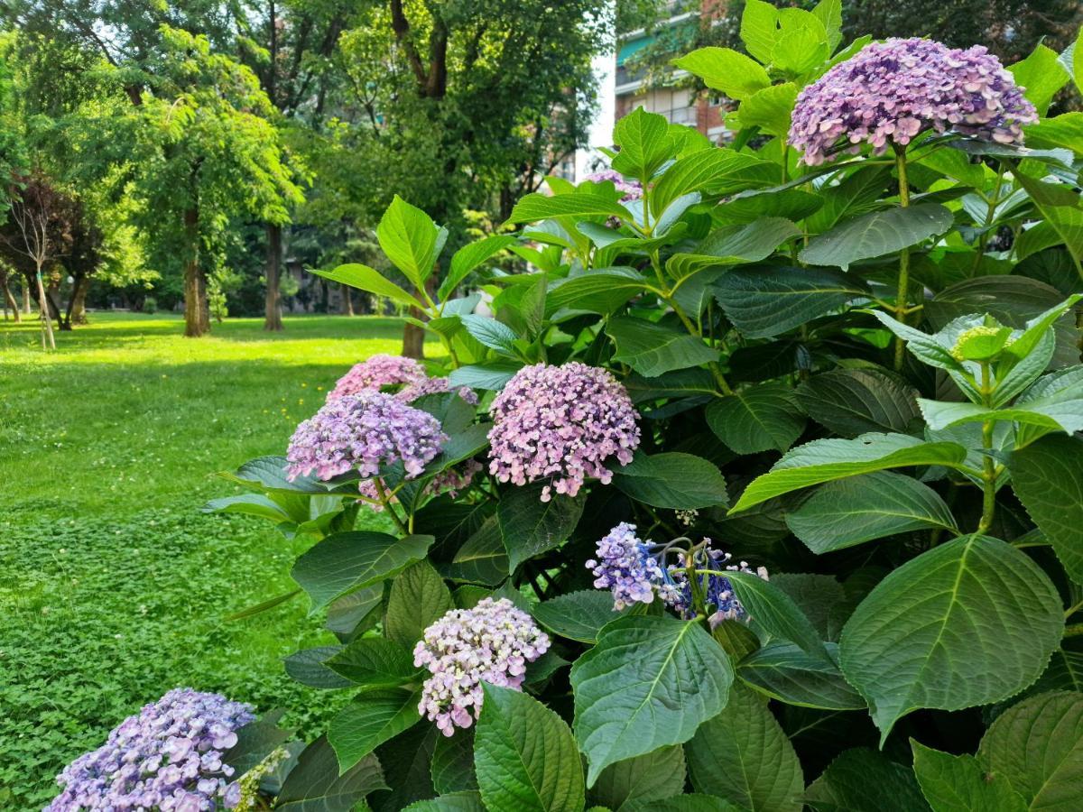 Apartmán Giardino Sul Naviglio Milán Exteriér fotografie